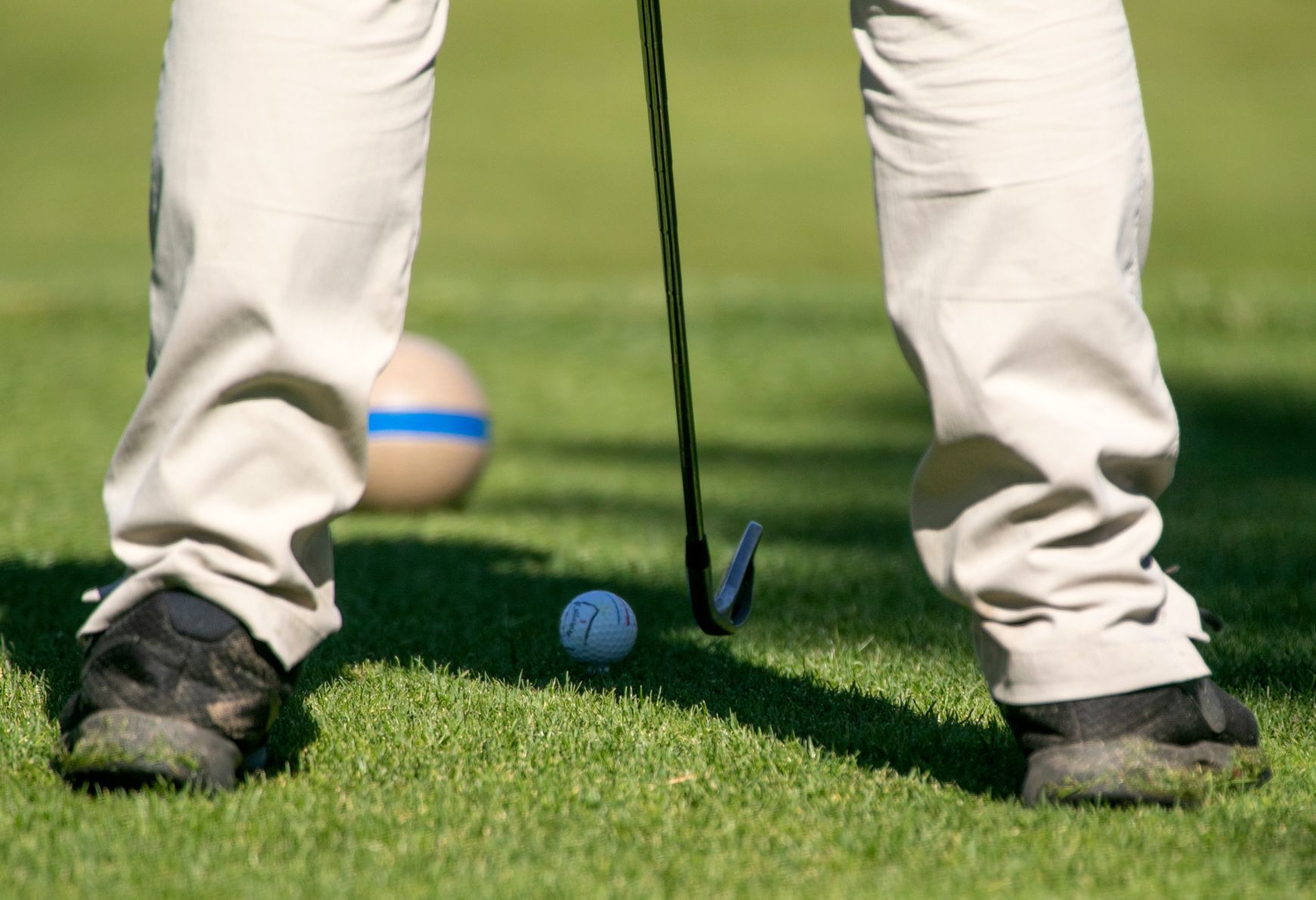 High School State Golf